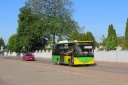 IMG_7342_--_kopia.JPG
