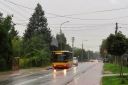 IMG_8337_--_kopia.JPG