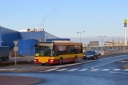 IMG_8519_--_kopia.JPG