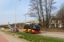 IMG_8520_--_kopia.JPG