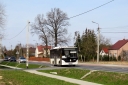 IMG_8539_--_kopia.JPG