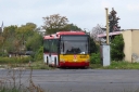 IMG_9986_284429_--_kopia.JPG