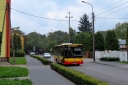IMG_9986_284929_--_kopia.JPG
