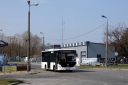 P1230490.JPG