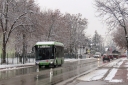IMG_0181_--_kopia.JPG