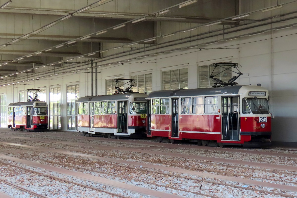 642
ParĂłwki o numerach 642, 795 i 407 oczekujÄ na zatrudnienie stojÄc na terenie zajezdni Ĺťoliborz. 
