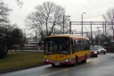 DSC03061_1.jpg
