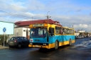 DSC01196.JPG