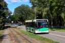 IMG_8641_--_kopia.JPG