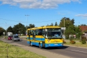 IMG_8657_--_kopia.JPG