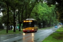 DSC02610.JPG