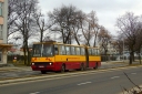 DSC02537.JPG