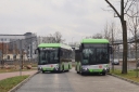 IMG_7695_--_kopia.JPG