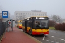 IMG_9733_--_kopia.JPG