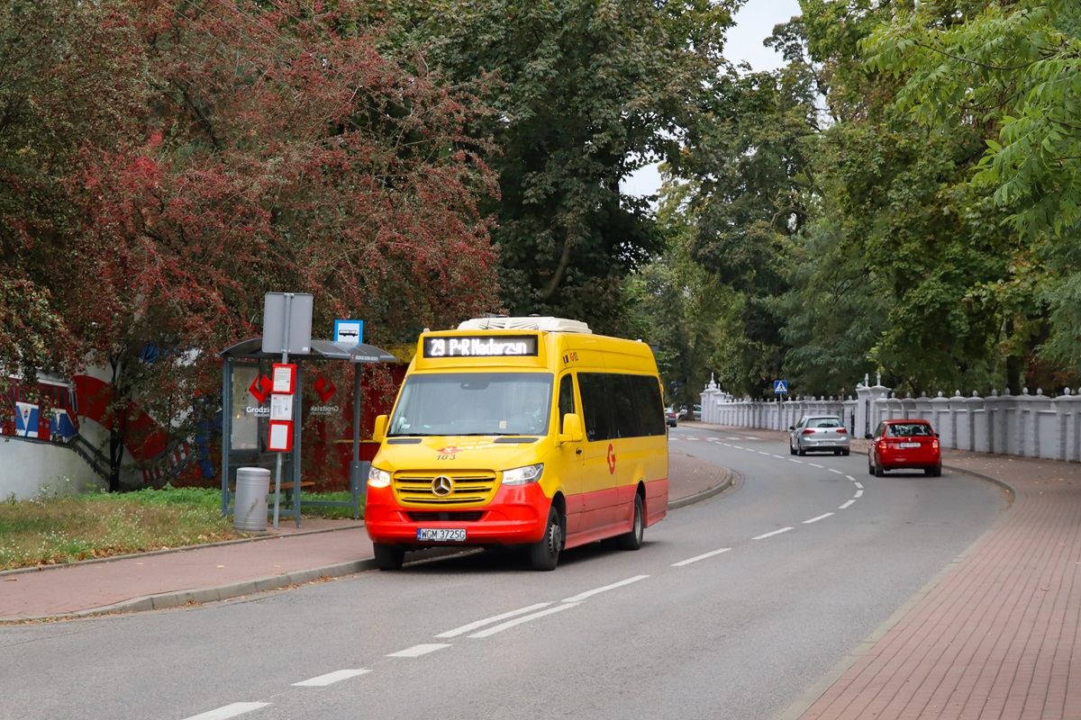 103 (22021)
Sprinter stoi na przystanku âGrodzisk Maz. RadoĹska Cmentarz 01â jako kurs linii numer 29: Grodzisk Maz. Szpital (16:15)-P+R Nadarzyn (17:17). 
