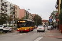 IMG_0829_--_kopia.JPG