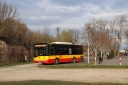IMG_1677_--_kopia.JPG
