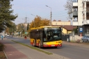 IMG_3838_--_kopia.JPG