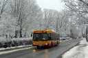 DSC02195.JPG