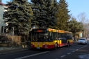 DSC02435.jpg