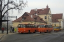 DSC02481.JPG