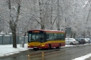 DSC02515.JPG