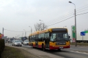 DSC03173.JPG