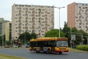 DSC05646.JPG