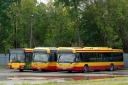 DSC08139.JPG
