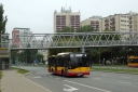 DSC08163.JPG