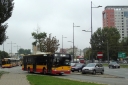 DSC08166.JPG