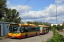 DSC08203.JPG