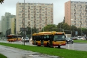 DSC08744.JPG