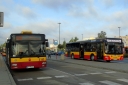 DSC08778.JPG