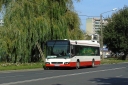 DSC08862.JPG