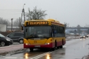 P1160382.JPG
