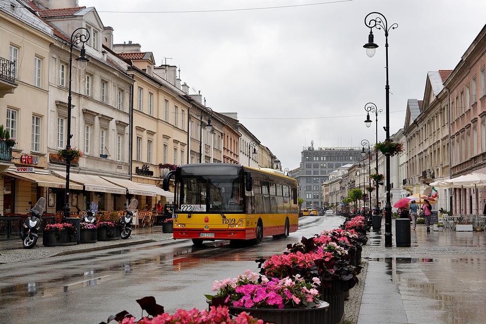 1209
Solbus przemierza deszczowy Nowy Ĺwiat.
