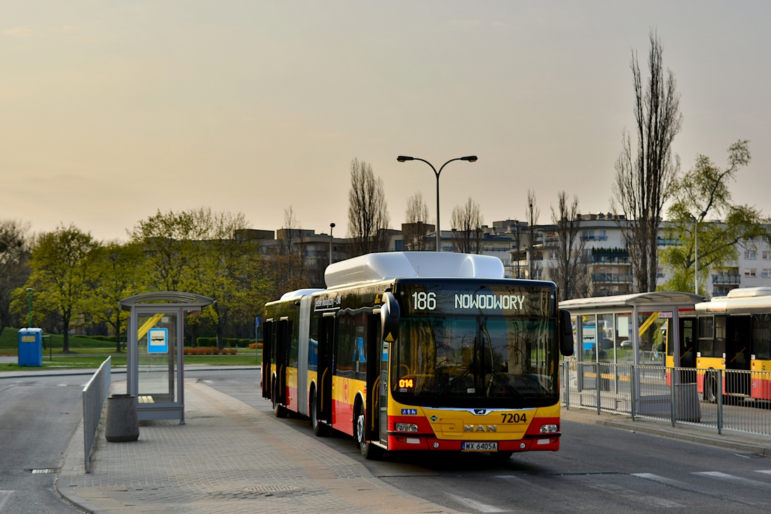 7204
Kilka minut przerwy miÄdzy kursami na szczytowej brygadzie linii 186.
