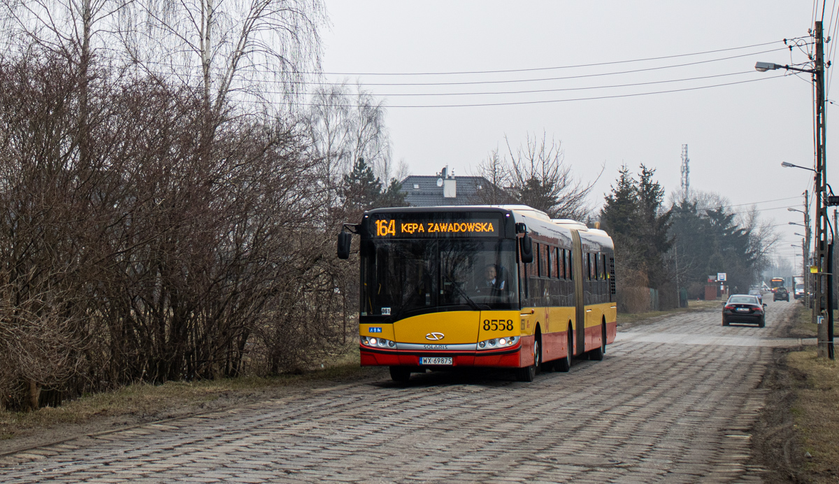 8558
Słowa kluczowe: Trylinka