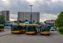 DSC_0641-2_copyright.jpg