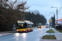 3946.jpg