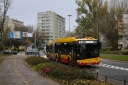 _5940.jpg