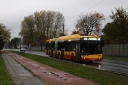 5966.jpg