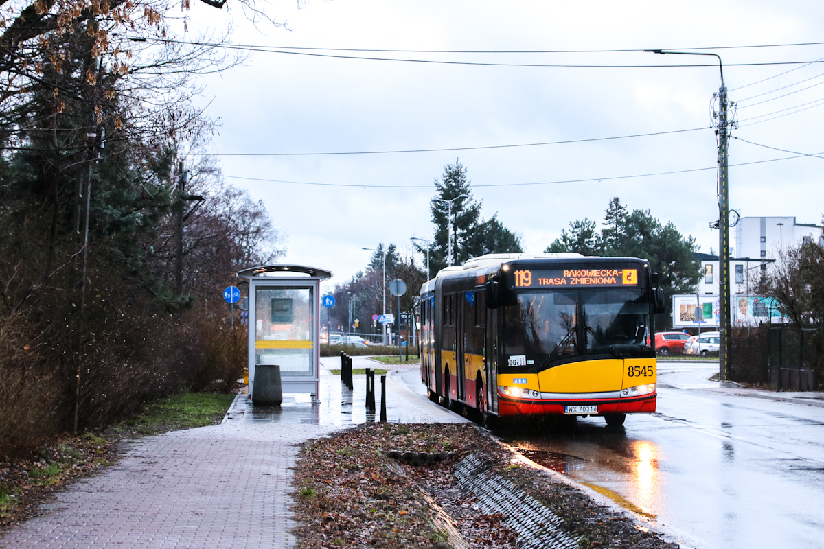 8545
Słowa kluczowe: DziwadĹo