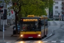 533FF579-2BC5-4CD4-BC25-6865DD115550.jpeg