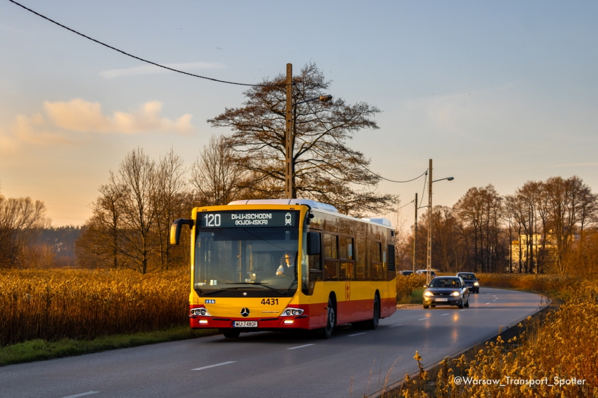 4431
Ostatnie Ĺlady jesieni
Słowa kluczowe: JesieĹ
