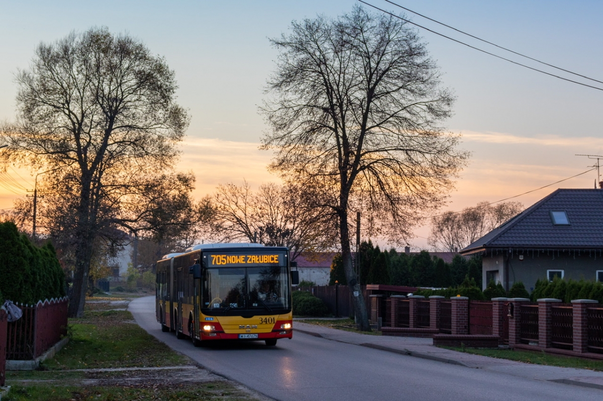 3401
Słowa kluczowe: ZachĂłd