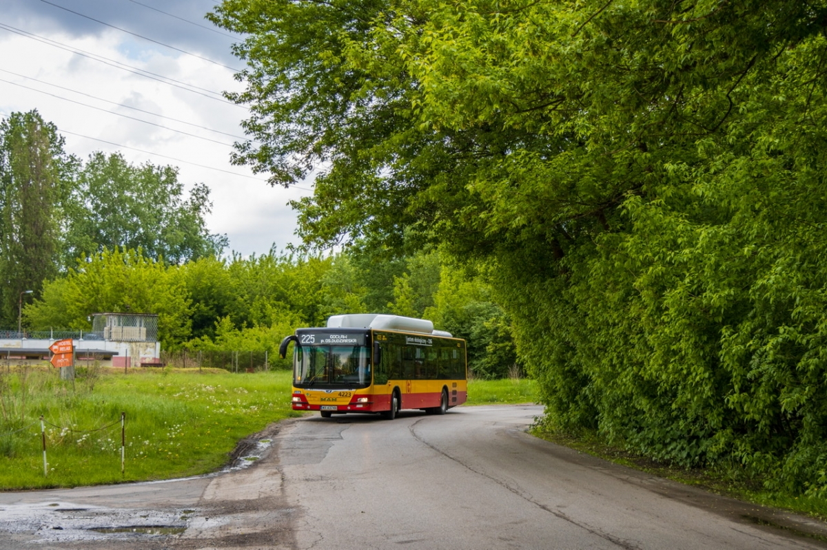 4223
Słowa kluczowe: DziwadĹo Natura