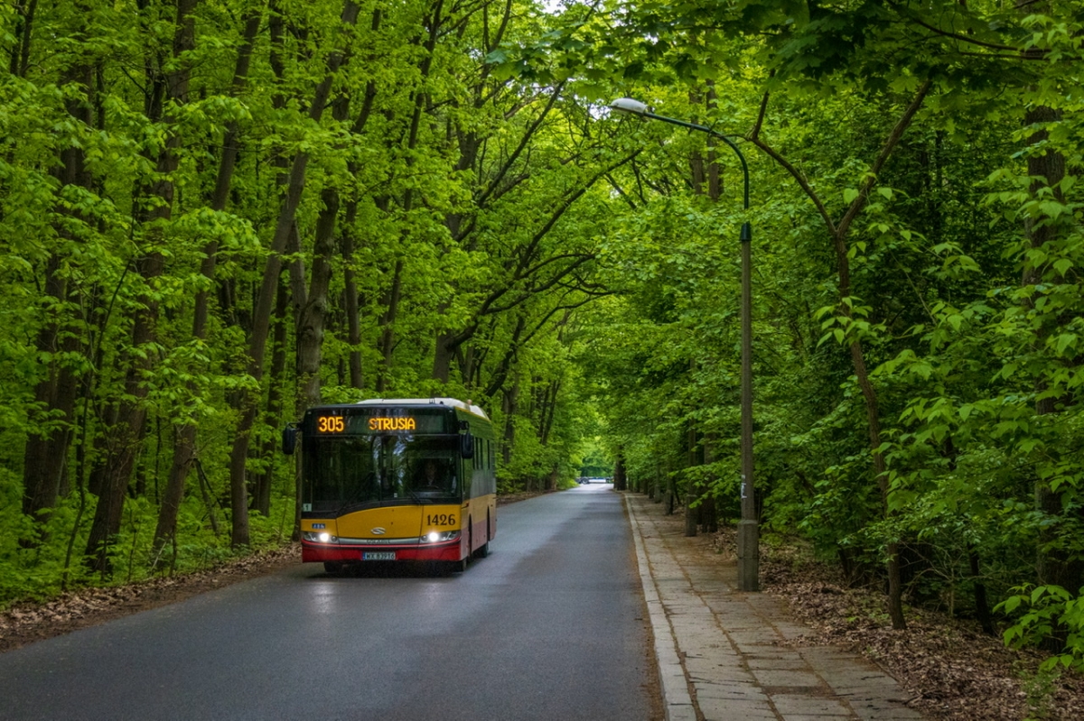 1426
Słowa kluczowe: DziwadĹo Natura