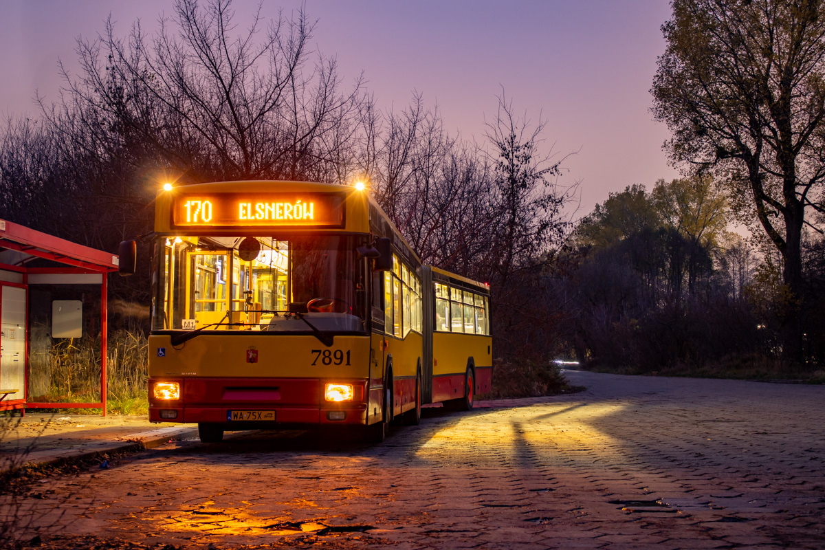 7891
Słowa kluczowe: M181